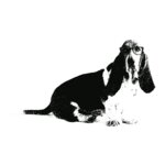 Hipster Hound Wordless